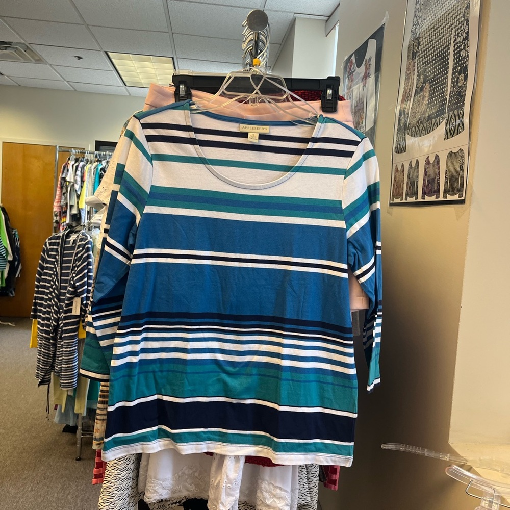 Appleseed's Blue and Green Striped Long Sleeve Top
